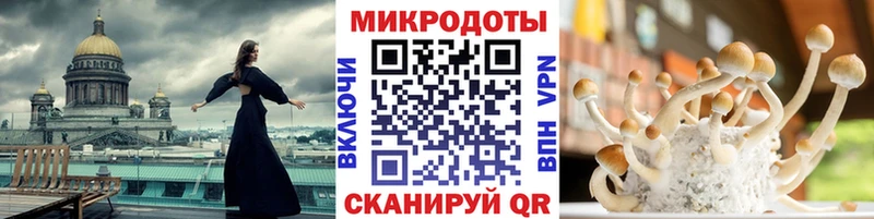 мега вход  Медынь  Галлюциногенные грибы мухоморы 